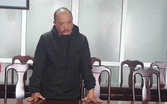 Khởi tố 4 cán bộ kê khống tiền giải tỏa đất rừng Sơn Trà