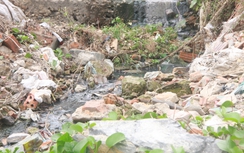 Video: Nước thải đen ngòm chảy ra bãi biển Nam Ô