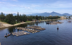 Người phụ nữ chết trong tư thế trói chân tay làm nghề cho vay