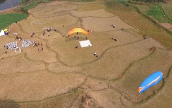 Video: Ngất ngây đám cưới rước dâu bằng dù lượn tại Hà Nội