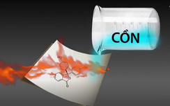 Vắng giáo viên, học sinh bị bỏng nặng vì tự ý thực hành