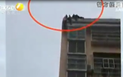 Video: Vợ nhảy lầu tự tử, chồng nhanh tay túm tóc kéo lên