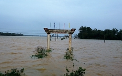 Mưa lũ miền Trung: 14 người chết, hơn 12.000 ngôi nhà bị ngập