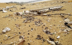 Điều tra vụ dầu vón cục xuất hiện 7km bờ biển tại Quảng Nam