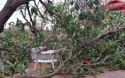 Những hình ảnh đầu tiên về Trường Sa sau bão Tembin