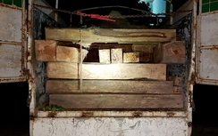 Truy bắt gỗ lậu, hai chiến sĩ công an bị thương