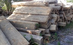 Lâm tặc táo tợn hành hung kiểm lâm, cướp gỗ