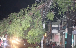 Mưa lớn ở TP.HCM: Cây đổ, ngập lụt, kẹt xe