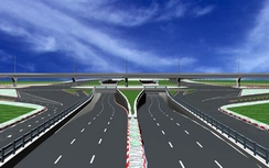 63 cây xanh cạnh siêu thị Big C sẽ bị chặt hạ, di dời