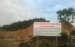 Sự thật việc phá rừng làm hầm đường bộ Đèo Cả