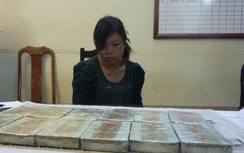 Truy tố hai "mắt xích" trong đường dây ma túy xuyên quốc gia