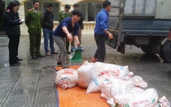 Chặn đứng 8 tạ nội tạng động vật thối trên đường lên bàn nhậu