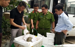 Bắt xe khách chở hai tạ ba ba Trung Quốc nhập lậu
