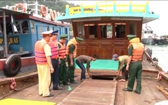 Hơn 14.000 con cá giống nhập lậu từ Trung Quốc vào Việt Nam