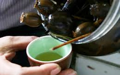 Dùng xô nhựa ngâm rượu thuốc phiện để bán