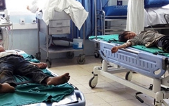 Lai Châu: Bốn học sinh ngộ độc vì ăn lá ngón xuất viện