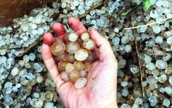 Mưa đá lại tàn phá ở Điện Biên