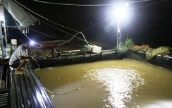 Cá lồng sông Đà chết hàng loạt sau khi xả lũ