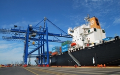 Tổng Công ty Tân cảng Sài Gòn được xếp hạng đặc biệt