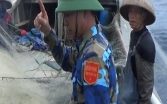 Áp giải 3 tàu cá Trung Quốc ra khỏi Vịnh Bắc Bộ