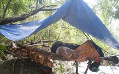 Nghi án 4 người trong gia đình bị giết chết trên rẫy