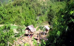 Tin mới nhất vụ thảm sát 4 người ở Nghệ An