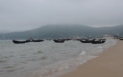 Không còn cá chết hàng loạt tại Miền Trung