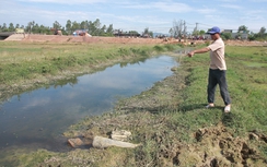 Nghệ An: Bệnh viện xả thải trộm ra ruộng lúa?