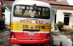 Nghệ An: CSGT bắt 200 kg nội tạng thối trên đường lên "bàn nhậu"