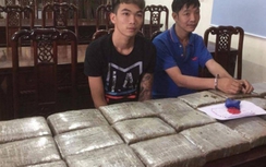 Thuê ô tô chở 32kg cần sa từ Lào về Việt Nam tiêu thụ