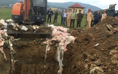 Gần 1.500 kg thịt động vật thối bị tiêu huỷ