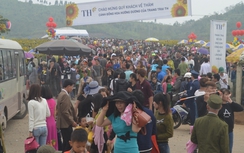 Đường Hồ Chí Minh tắc 10km ngay ngày khai hội hoa hướng dương