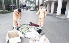 Hà Tĩnh: Khởi tố 3 đối tượng trong đường dây mua bán voọc