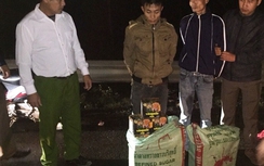 Mật phục bắt 2 kẻ buôn pháo lúc nửa đêm