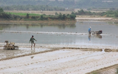 Sức sống trở lại vùng rốn lũ Phương Mỹ của Hà Tĩnh