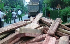 Chở gỗ lậu bị bắt, tài xế nâng thùng đổ gỗ xuống đường