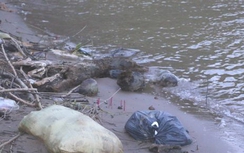Thi thể bé sơ sinh nổi bên đập nước