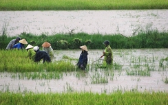 Sẽ kỷ luật Bí thư, Chủ tịch xã “ém” tiền hỗ trợ của dân