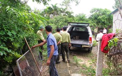 Kiểm lâm nổ súng đuổi kẻ lạ mặt xông vào trụ sở tấn công