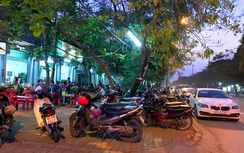 Nghệ An thu hồi lệnh cho thuê vỉa hè