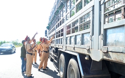 Thí điểm lắp cân thông minh chặn xe quá tải trên đường tử thần