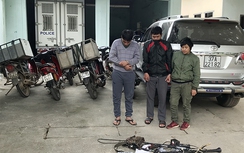 Đi ô tô trộm chó, thủ cả bom xăng để ném người truy đuổi