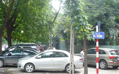 “Trước cửa nhà ông, cấm dừng, cấm đỗ”