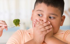 Báo động gia tăng trẻ em béo phì