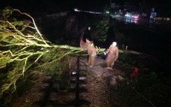 Nhiều chuyến tàu chậm do bão, hơn 4.000 khách bị ảnh hưởng