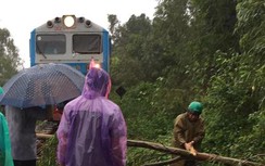 Đường sắt Bắc–Nam tê liệt, hàng chục đoàn tàu mắc kẹt do bão 12