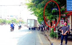 Giám đốc Sở GTVT Hà Nội: Điều chỉnh ngay biển báo bị che khuất