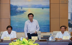 Kết quả bầu cử Quốc hội: 21 người ngoài Đảng trúng cử