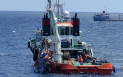 9 quân nhân trên Casa-212 đã hy sinh