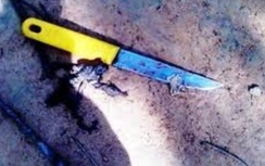 Viện trưởng VKSND huyện Quốc Oai bị đâm trọng thương